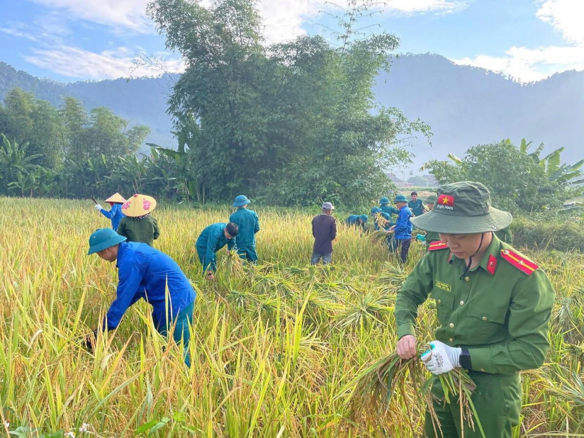 Màu áo xanh xung kích, nghĩa tình nơi bản làng xứ Nghệ