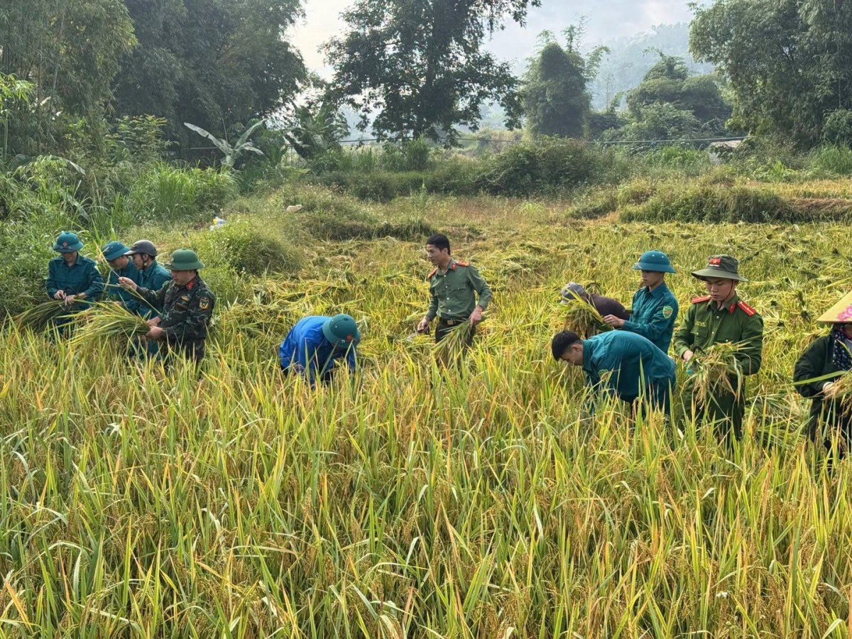 Màu áo xanh xung kích, nghĩa tình nơi bản làng xứ Nghệ