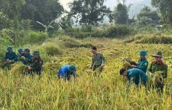 Màu áo xanh xung kích, nghĩa tình nơi bản làng xứ Nghệ