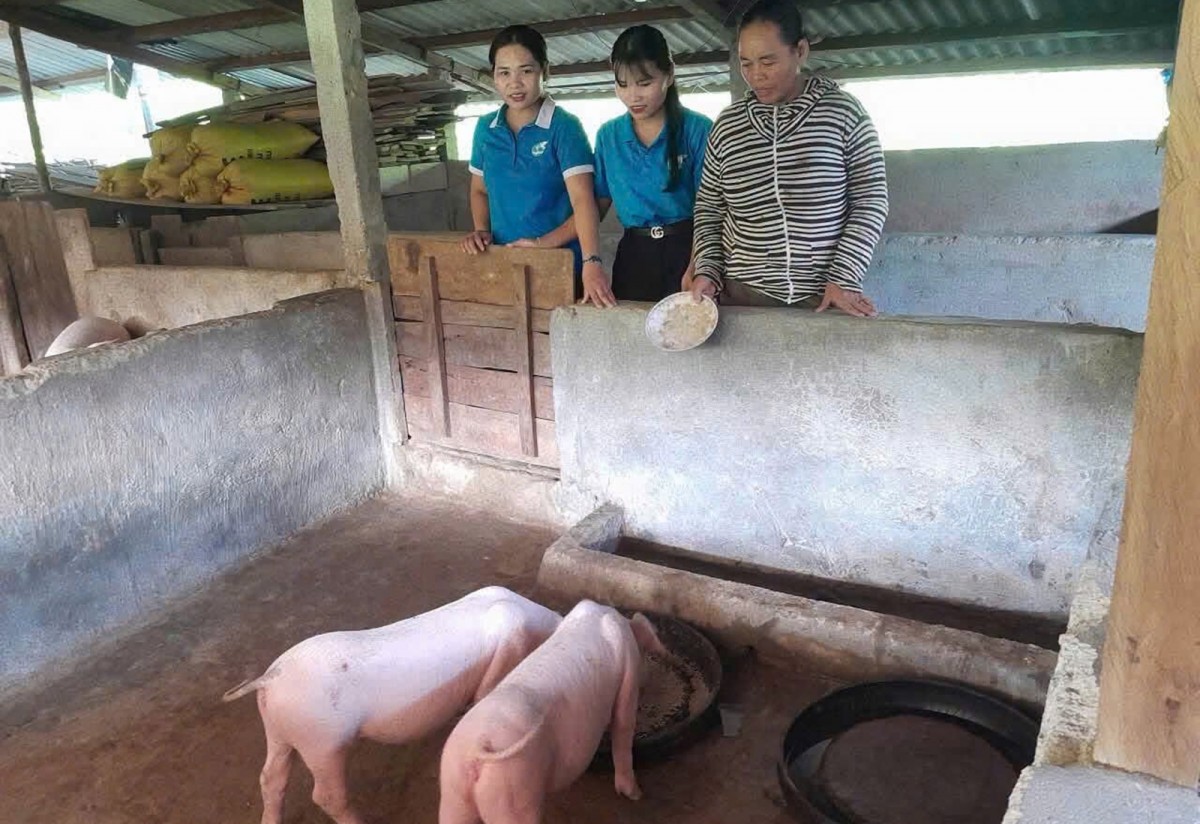 Hội LHPN Tp Huế đồng hành cùng phụ nữ biên cương - Trao sinh kế, gửi yêu thương