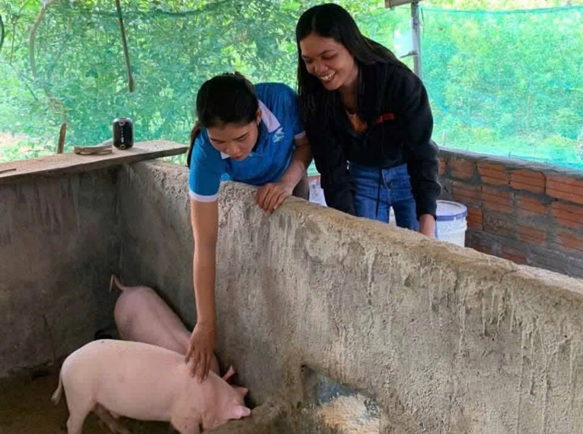 Hội LHPN Tp Huế đồng hành cùng phụ nữ biên cương - Trao sinh kế, gửi yêu thương