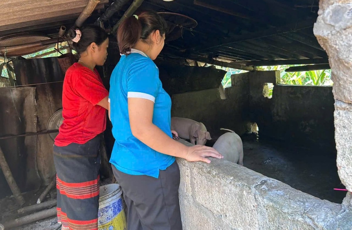 Hội LHPN Tp Huế đồng hành cùng phụ nữ biên cương - Trao sinh kế, gửi yêu thương