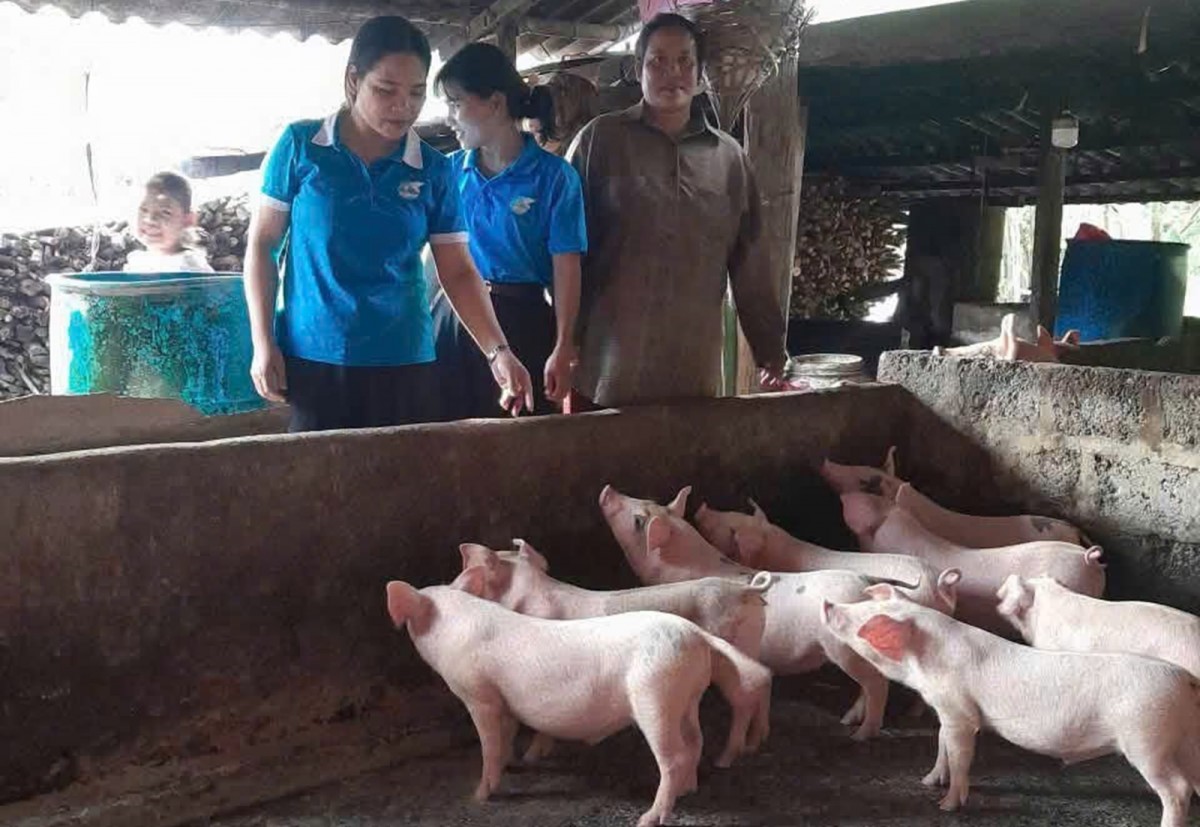 Hội LHPN Tp Huế đồng hành cùng phụ nữ biên cương - Trao sinh kế, gửi yêu thương