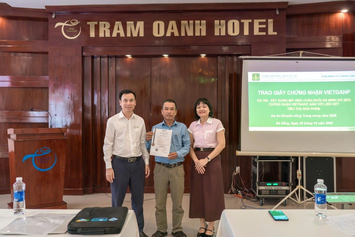 Chăn nuôi gà Minh Dư theo VietGAHP - Nâng chất lượng, nối dài chuỗi giá trị