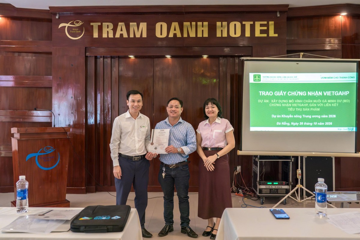 Chăn nuôi gà Minh Dư theo VietGAHP - Nâng chất lượng, nối dài chuỗi giá trị