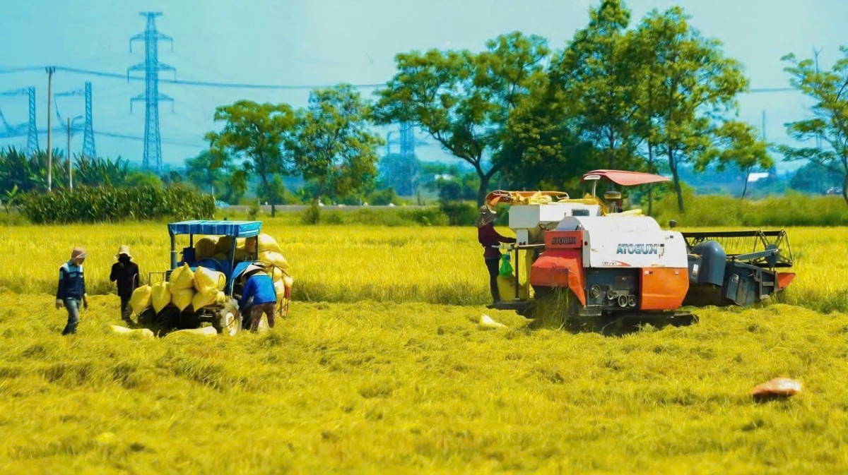 Đắk Lắk chủ động ứng phó thiên tai cuối năm 2026, bảo vệ sản xuất và đời sống người dân