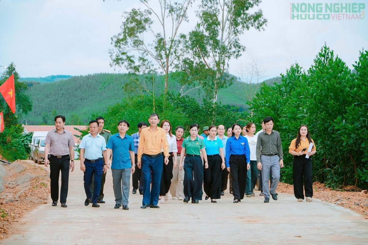 Con đường ý Đảng, lòng dân ở xóm Đồng Thái