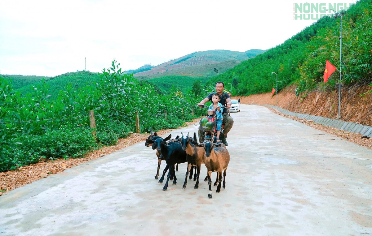 Con đường ý Đảng, lòng dân ở xóm Đồng Thái