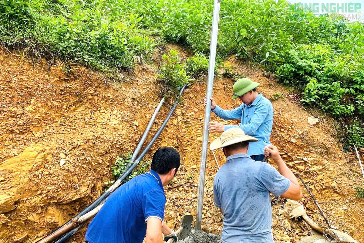 Con đường ý Đảng, lòng dân ở xóm Đồng Thái