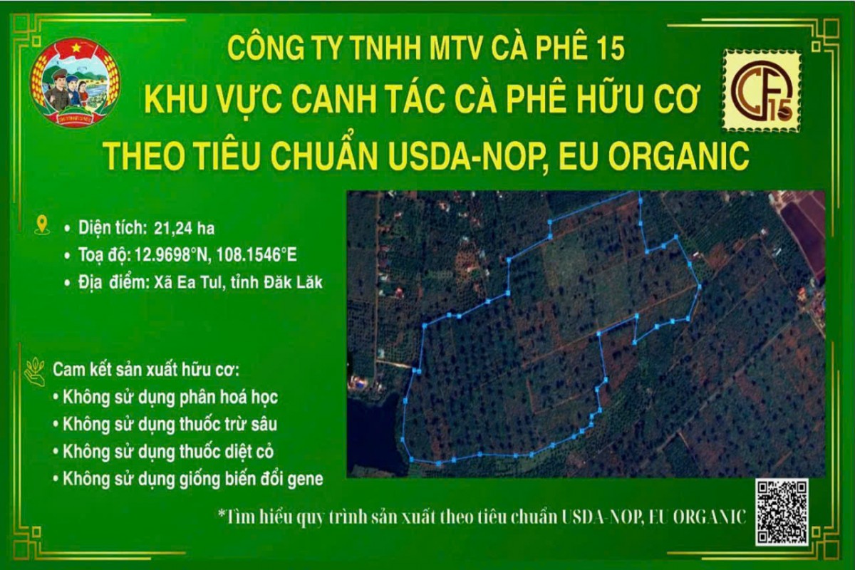Công ty Cà phê 15 phát triển 21,24 ha cà phê hữu cơ đạt chuẩn Mỹ và châu Âu tại Đắk Lắk