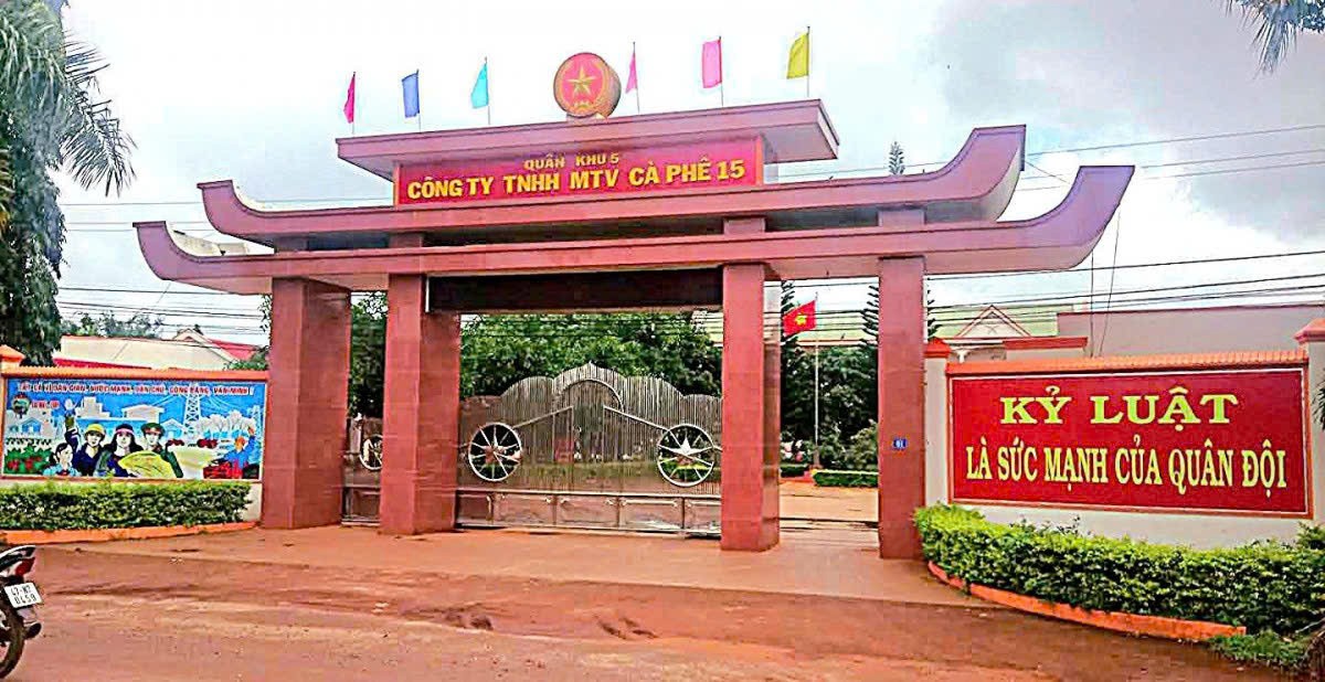 Công ty Cà phê 15 phát triển 21,24 ha cà phê hữu cơ đạt chuẩn Mỹ và châu Âu tại Đắk Lắk