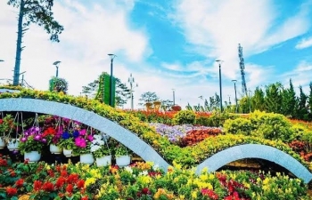 Báo chí đã quan tâm thông tin, tuyên truyền quảng bá về Festival Hoa Đà Lạt lần thứ XI – năm 2026