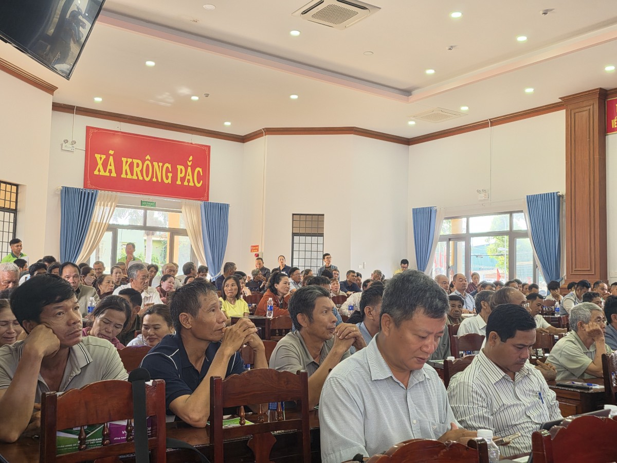 Đắk Lắk tập huấn chống sượng, phòng ngừa cadimi, nâng cao chất lượng sầu riêng bền vững