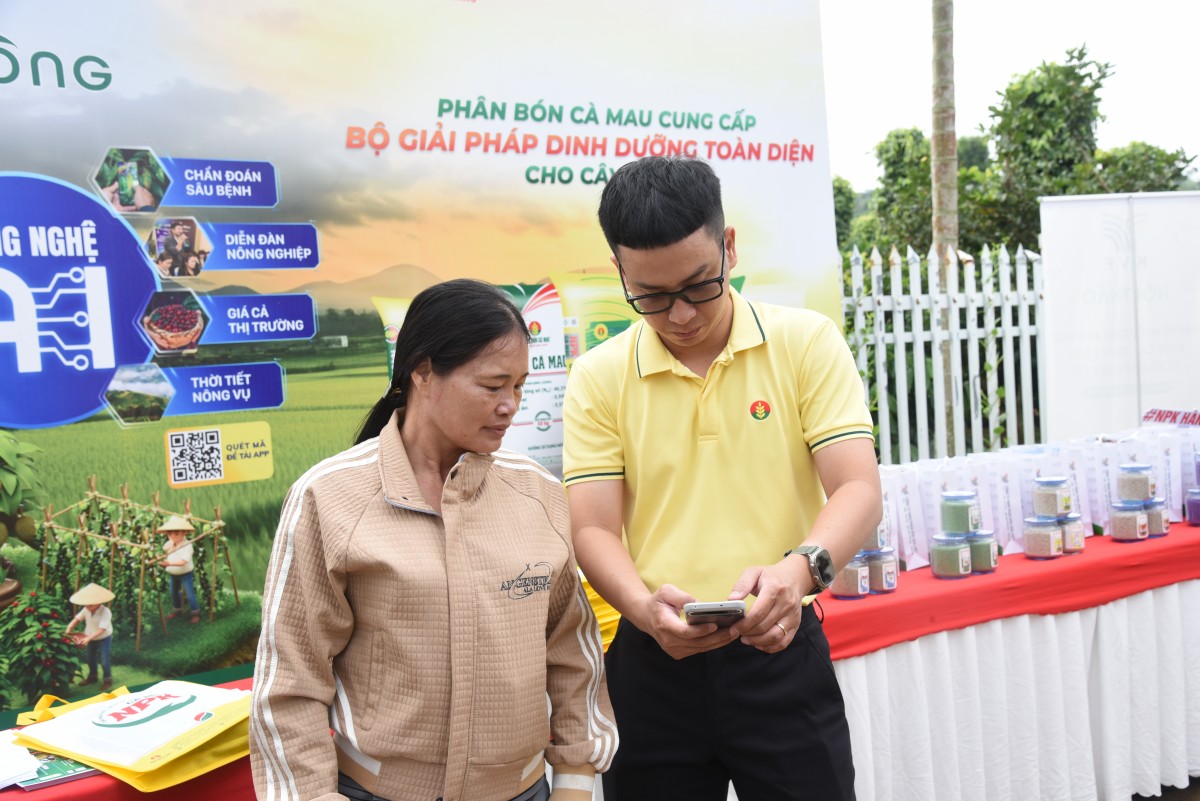 Nâng chất lượng Robusta Việt: Phân bón Cà Mau đưa công nghệ số vào quản lý canh tác tại vùng trồng