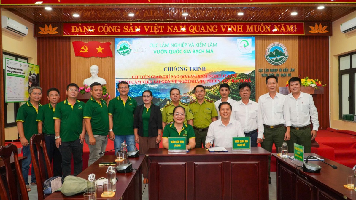VQG Bạch Mã tiếp nhận chim trĩ sao, tăng cường bảo tồn đa dạng sinh học