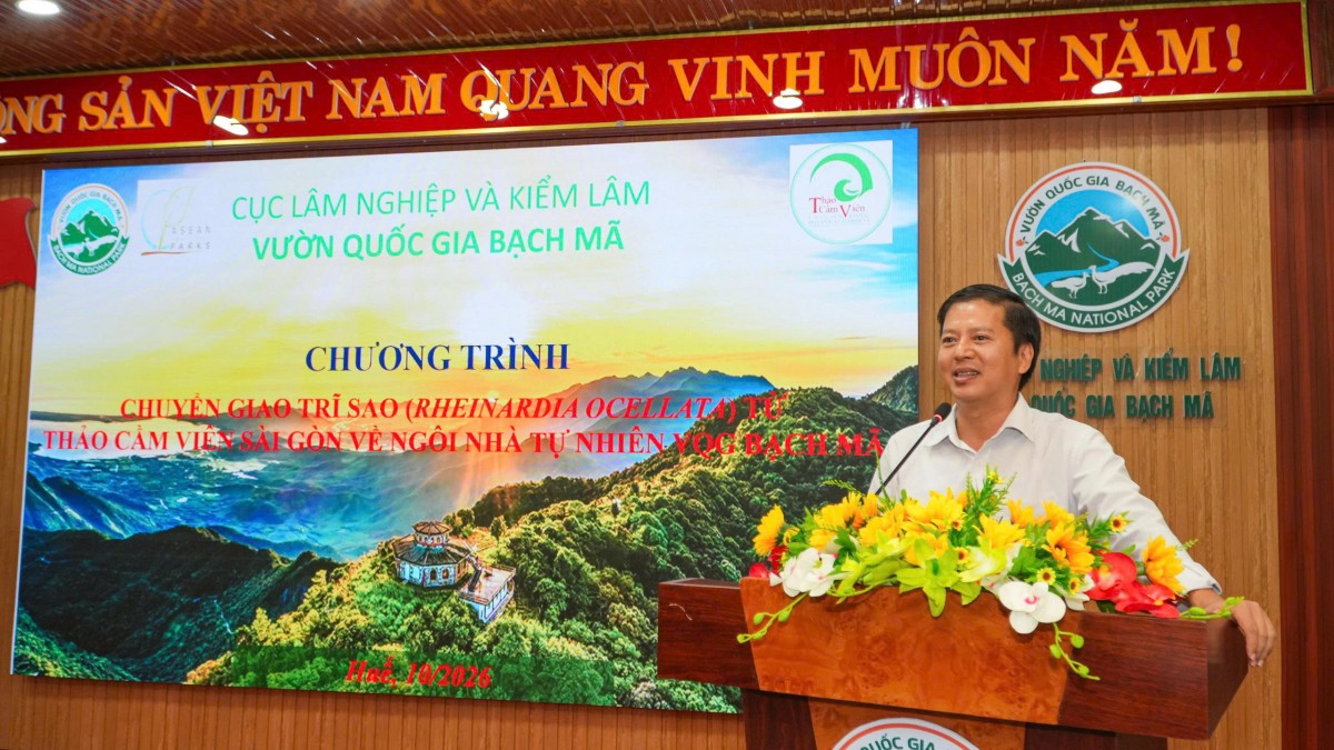 VQG Bạch Mã tiếp nhận chim trĩ sao, tăng cường bảo tồn đa dạng sinh học
