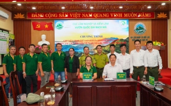 VQG Bạch Mã tiếp nhận chim trĩ sao, tăng cường bảo tồn đa dạng sinh học