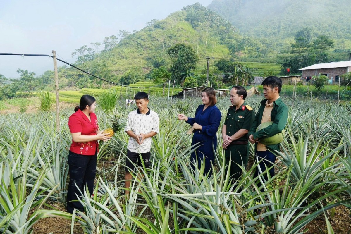 Tuyên Quang: ã Thuận Hòa tạo đà phát triển kinh tế từ nông nghiệp, lâm nghiệp và du lịch