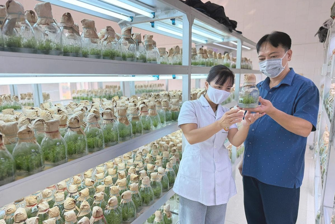 Tuyên Quang tăng cường quản lý vật tư nông nghiệp, thúc đẩy sản xuất an toàn