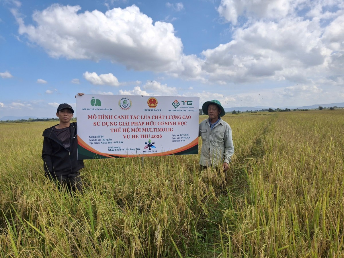 Đắk Lắk: Đưa công nghệ sinh học của Nga lên đồng ruộng Ea Súp, kết nối chuỗi giá trị số