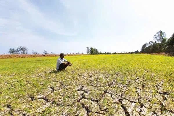 Đắk Lắk chủ động phòng chống hạn hán, bảo vệ sản xuất nông nghiệp mùa khô năm 2026–2027