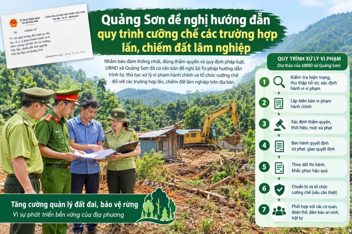 Xã Quảng Sơn đề nghị hướng dẫn quy trình cưỡng chế các trường hợp lấn, chiếm đất lâm nghiệp