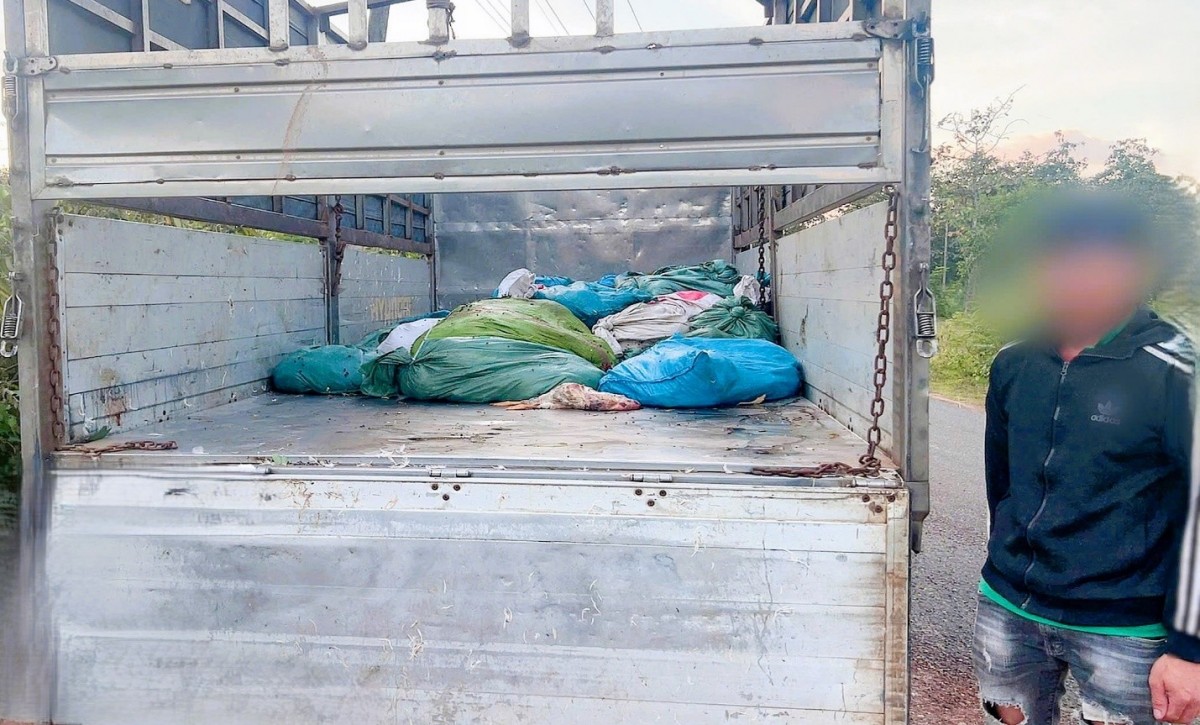 Đồng Nai: Phát hiện xe tải chở 908kg xác gà chết bốc mùi hôi thối