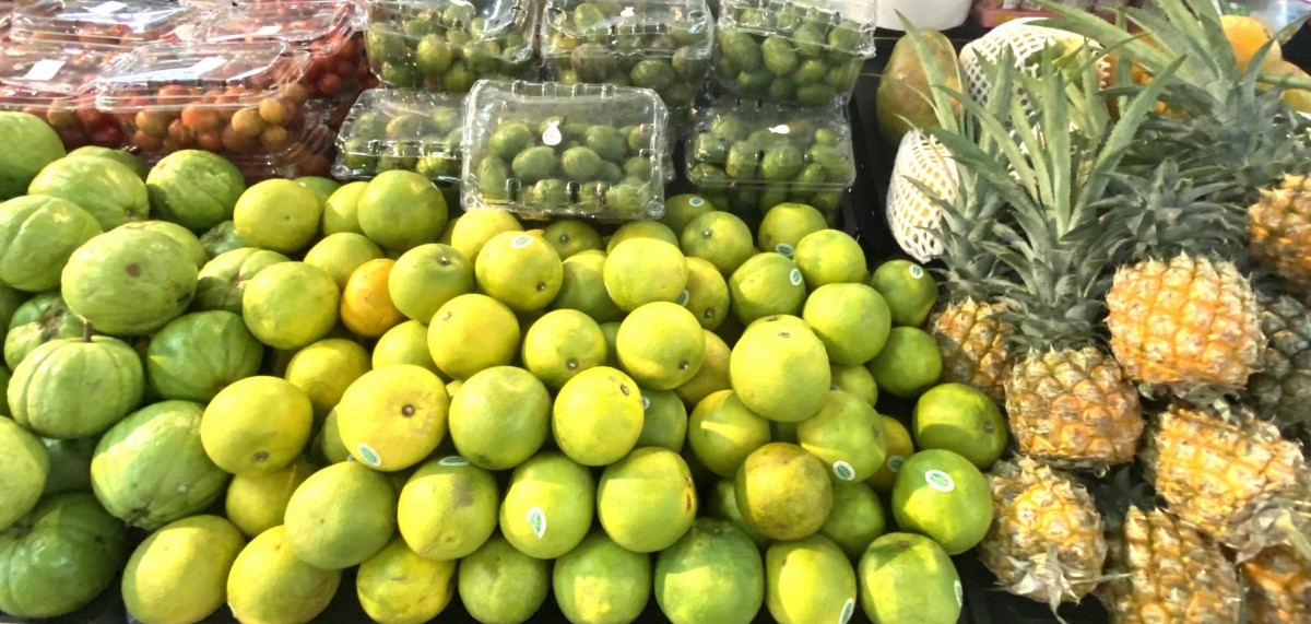 Bắc Ninh: Đột phá tiêu chuẩn SPS, nâng tầm nông sản xuất khẩu