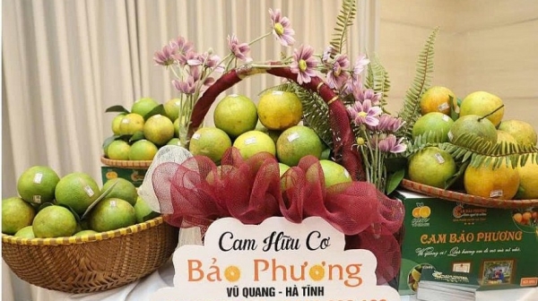 Hà Tĩnh: Đẩy mạnh đưa đặc sản địa phương lên sàn số