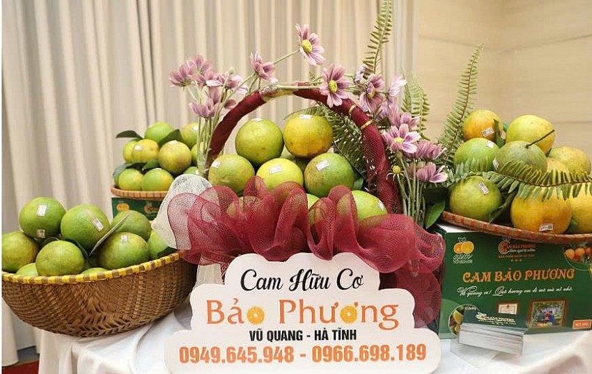 Hà Tĩnh: Đẩy mạnh đưa đặc sản địa phương lên sàn số