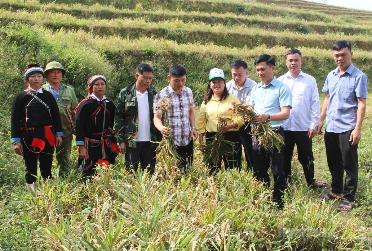 Tuyên Quang: Xã Đường Hồng đánh giá kết quả sản xuất nông, lâm nghiệp năm 2026