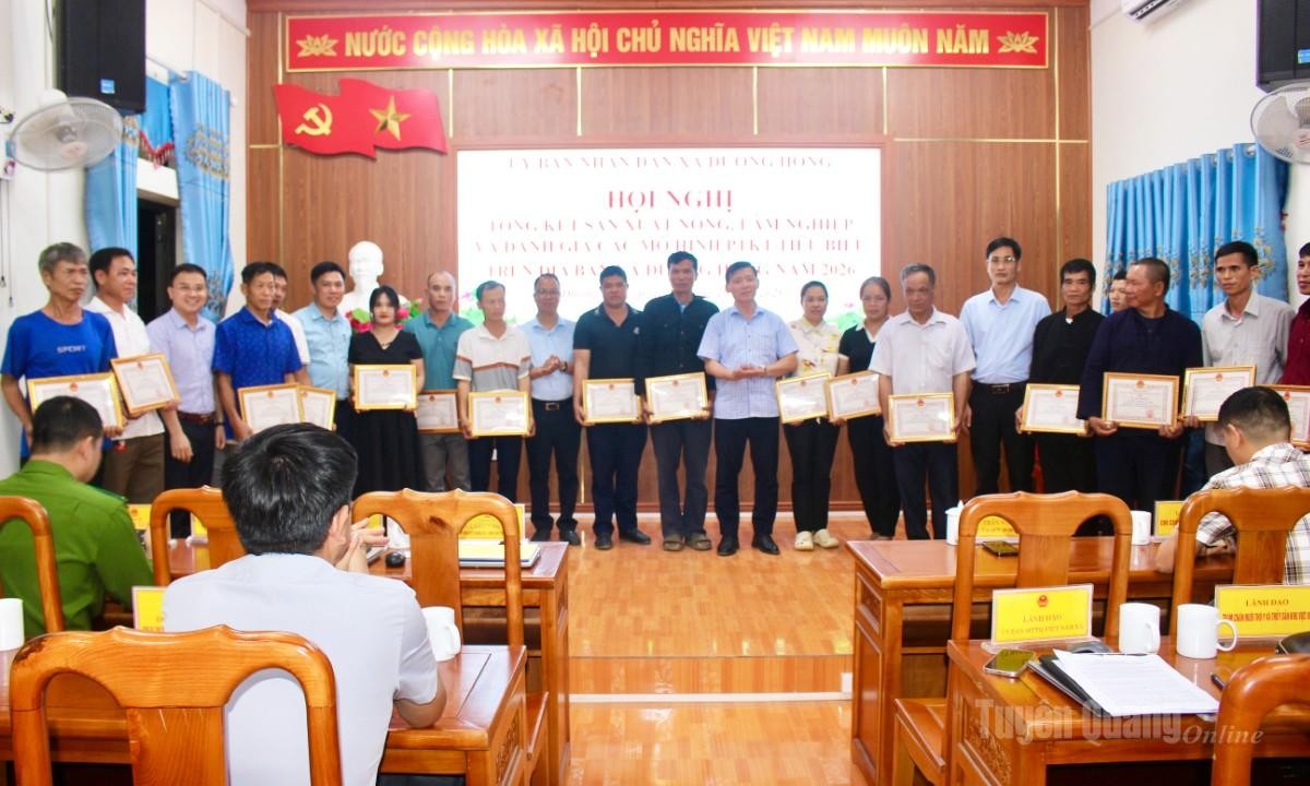 Tuyên Quang: Xã Đường Hồng đánh giá kết quả sản xuất nông, lâm nghiệp năm 2026