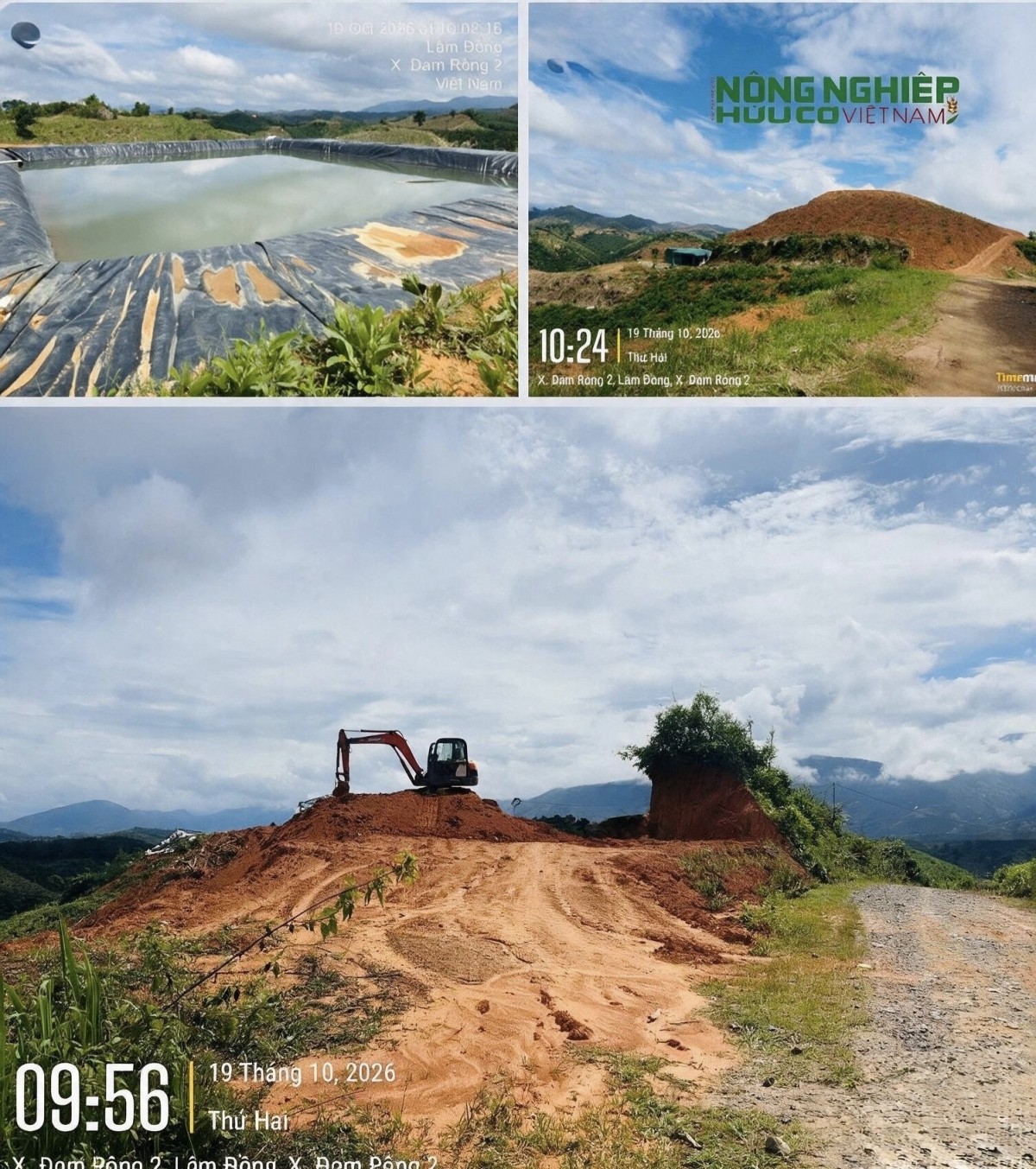 Yêu cầu làm rõ việc có dấu hiệu buông lỏng quản lý trong quản lý bảo vệ rừng, đất lâm nghiệp