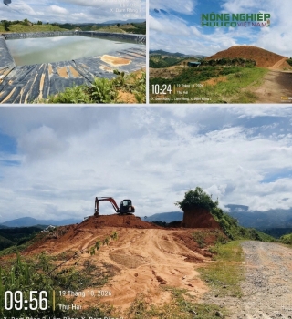 Yêu cầu làm rõ việc có dấu hiệu buông lỏng quản lý trong quản lý bảo vệ rừng, đất lâm nghiệp