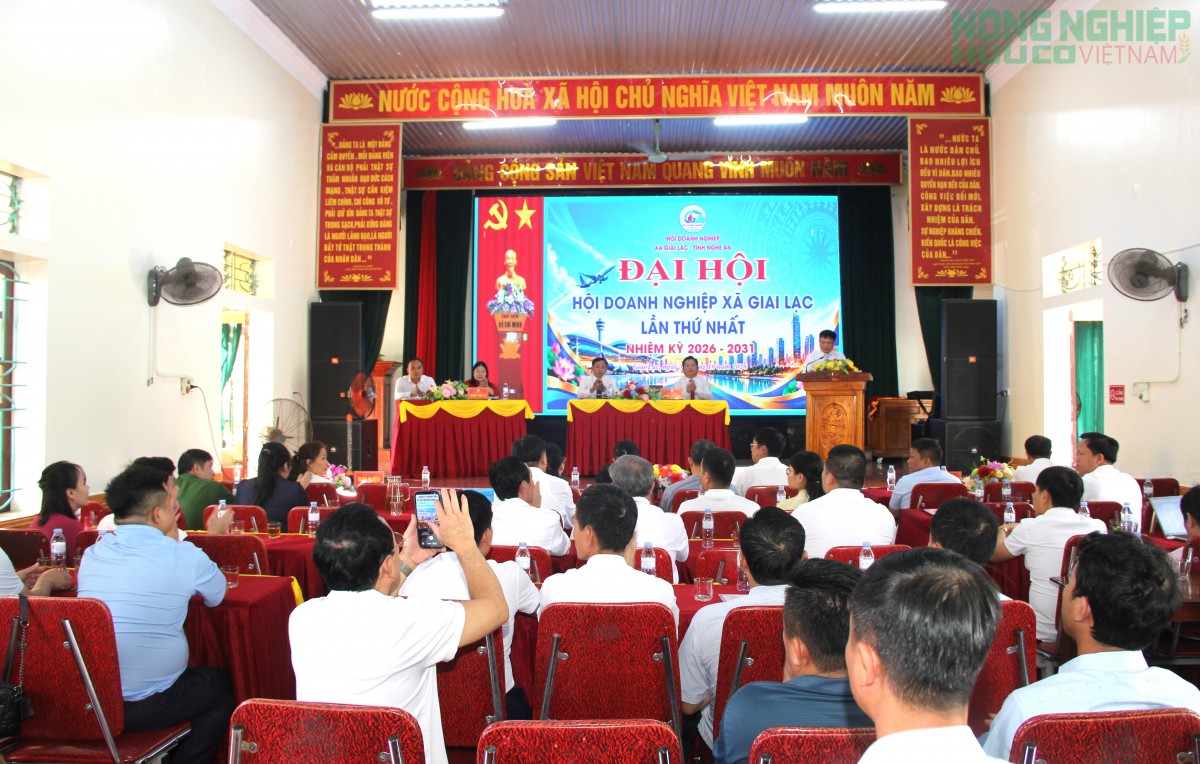 Đại hội Hội Doanh nghiệp xã Giai Lạc lần thứ nhất, nhiệm kỳ 2026 – 2031