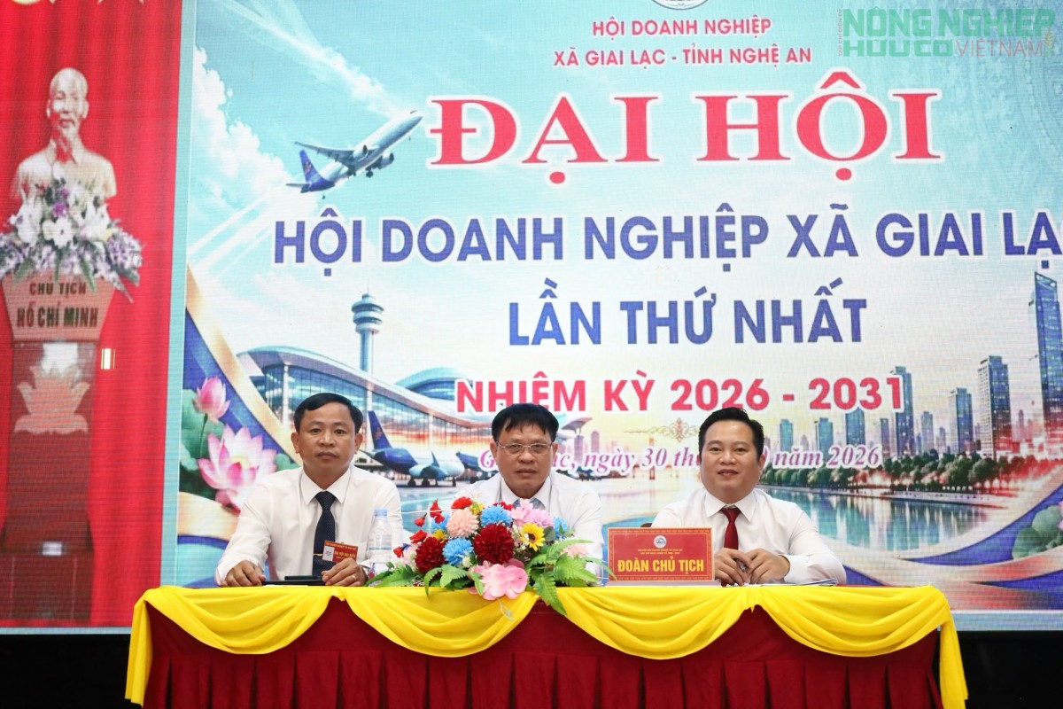 Đại hội Hội Doanh nghiệp xã Giai Lạc lần thứ nhất, nhiệm kỳ 2026 – 2031