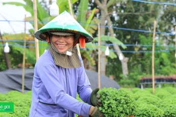 Kinh tế tuần hoàn ở ĐBSCL: Tiềm năng lớn nhưng chỉ "dám" đầu tư nhỏ