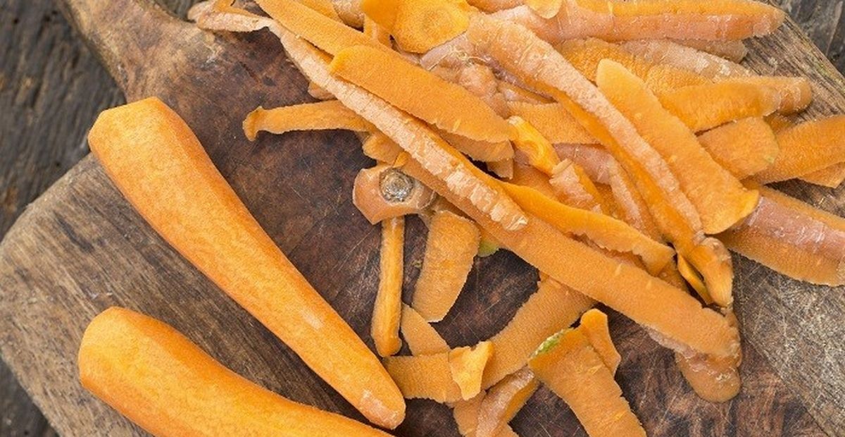 Từ phế phẩm cà rốt đến ‘lời giải’ bền vững cho thị trường protein thay thế