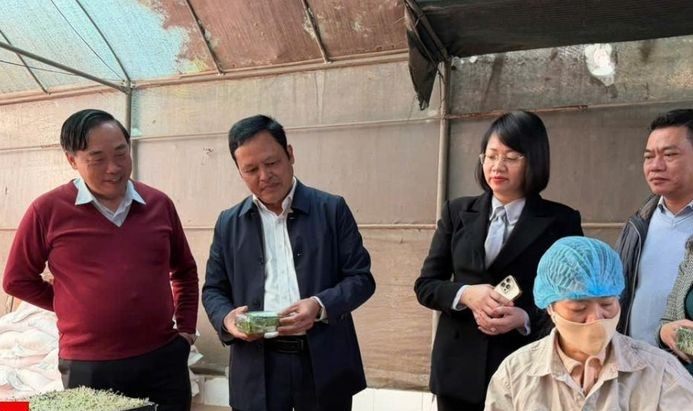 Hà Nội chủ động nguồn cung nông sản, thực phẩm phục vụ Tết Nguyên đán 2026