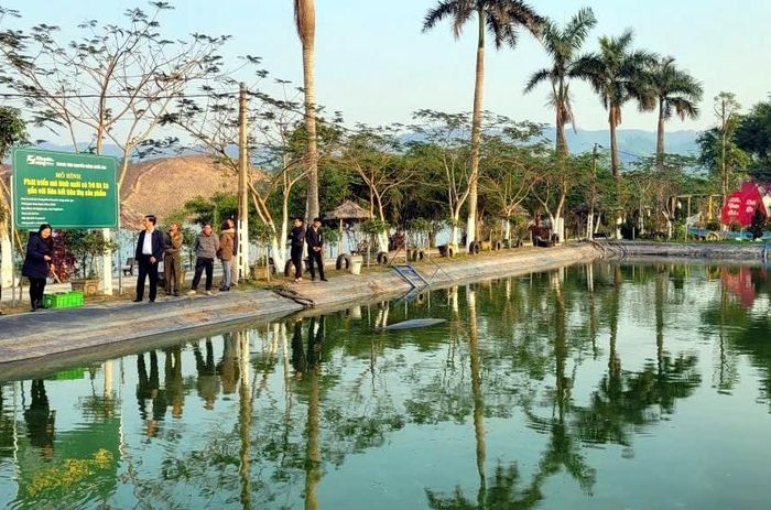 Nuôi cá trê thương phẩm - mô hình kinh tế nhiều tiềm năng ở Nghệ An