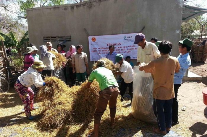 Thêm nguồn lực cho giảm phát thải và bảo vệ rừng