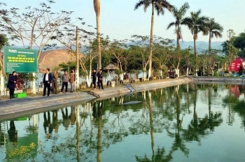 Nuôi cá trê thương phẩm - mô hình kinh tế nhiều tiềm năng ở Nghệ An