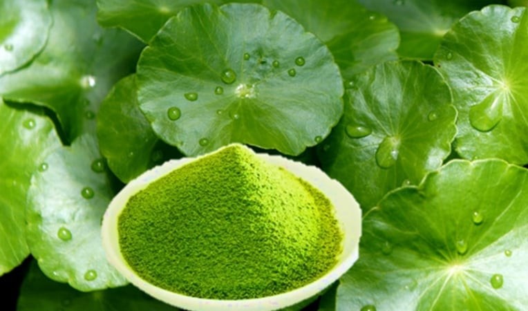 Rau má – “nhân sâm xanh” của người Việt: Dễ trồng, siêu bổ, tốt cho gan và trí não