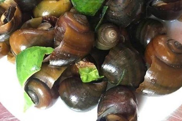 Cách chọn ốc làm sẵn ngon sạch, không "ngậm" hóa chất cho bữa cơm gia đình