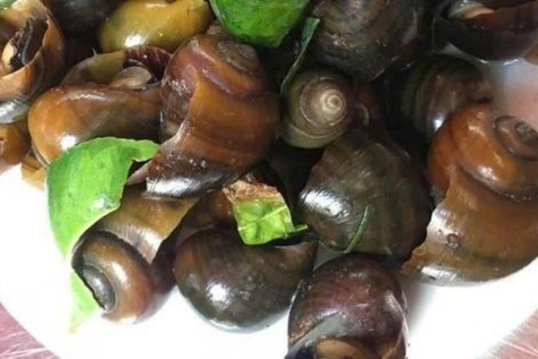 Cách chọn ốc làm sẵn ngon sạch, không "ngậm" hóa chất cho bữa cơm gia đình