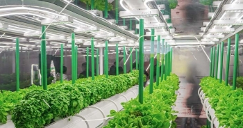 Viễn cảnh 2035: Khi nông trại sở hữu "bộ não số" và bữa ăn được thiết kế theo gen