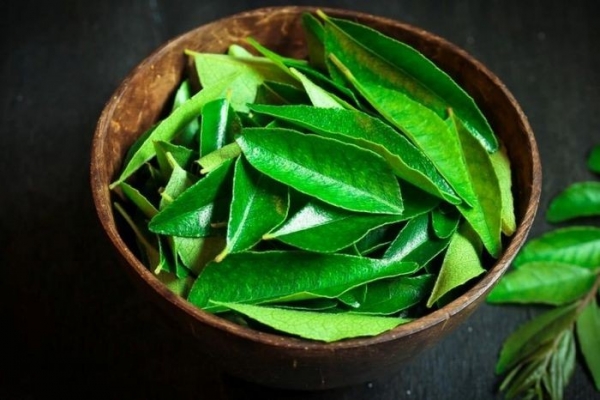 Loại lá thơm phức thường chỉ làm gia vị, lại siêu dinh dưỡng chẳng kém thuốc bổ