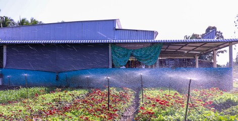 Hiện đại công nghệ tưới tiêu