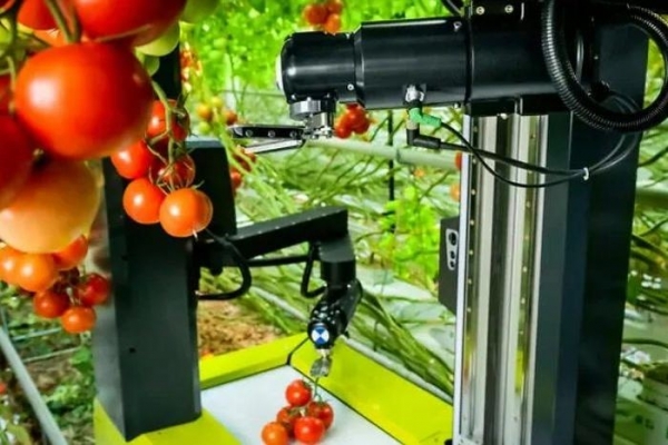 Nông nghiệp thông minh giữ an ninh lương thực