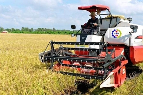 Tận dụng FTA, đẩy mạnh xuất khẩu gạo vào thị trường giá trị cao